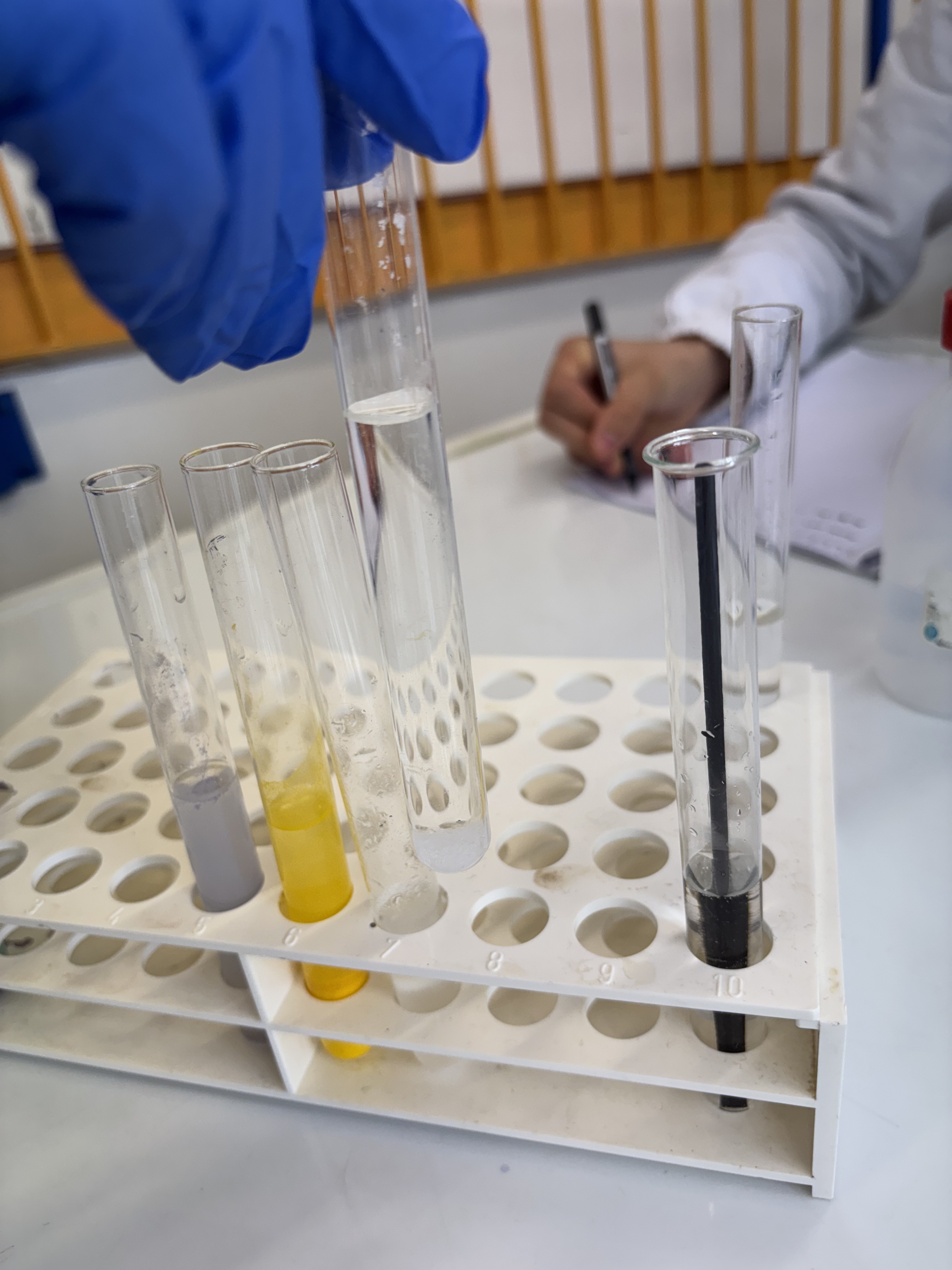 Panoramica tutte le provette a fine sessione